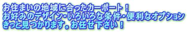 Z܂̒nɍJ[|[gI D݂̃fUCE낢ȏE֗ȃIvV ƌ܂BCI 